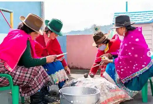 Foto 5