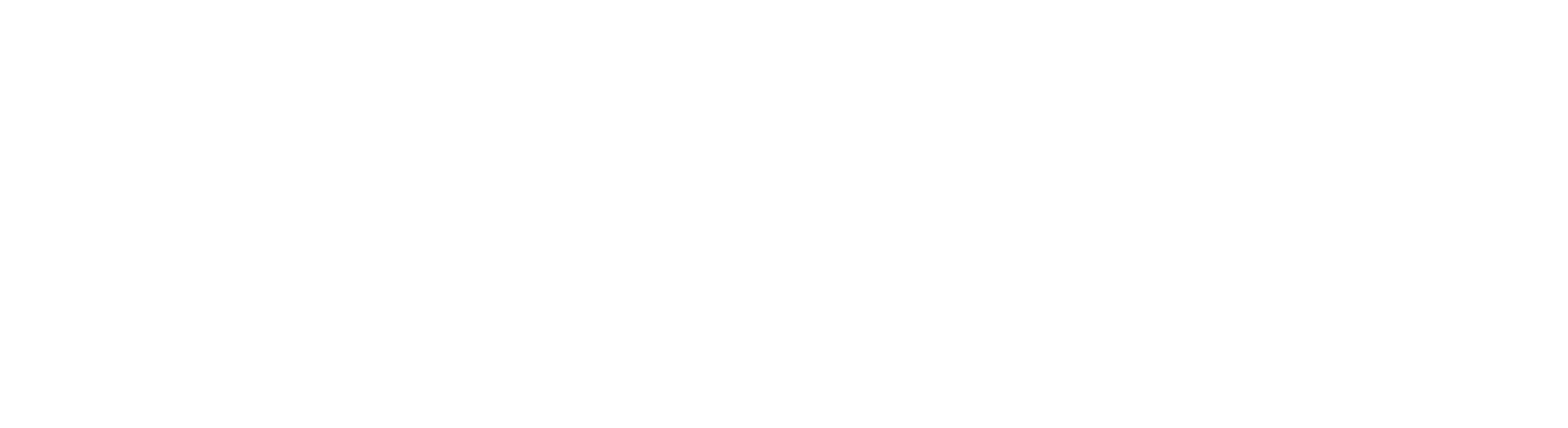 Logo Salesiana